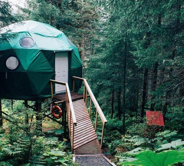Man Standing on a Rock
