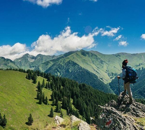 Cottages In The Middle Of Beach